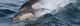 00048v - 