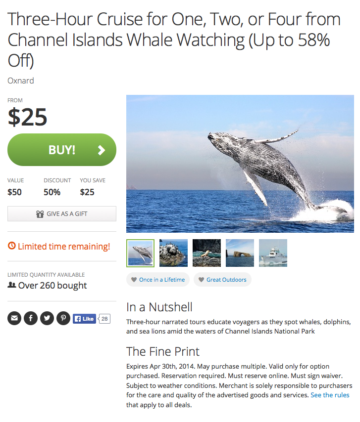 Groupon Honors CHANNEL ISLANDS WHALE WATCHING with ''Best of Groupon