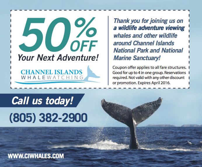Channel Islands Whale Watching Coupon