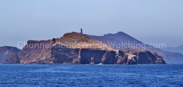 Anacapa Island Channel Islands Whale Watching